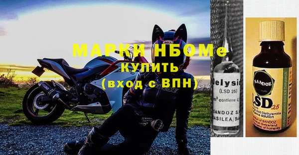 хмурый Алексин