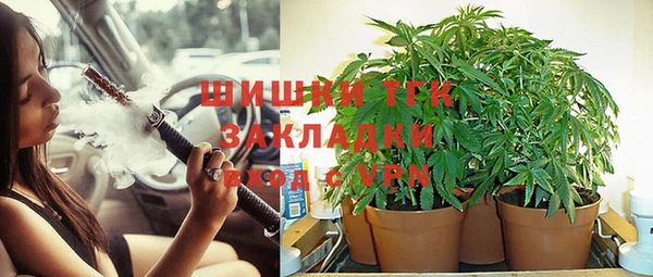 хмурый Алексин