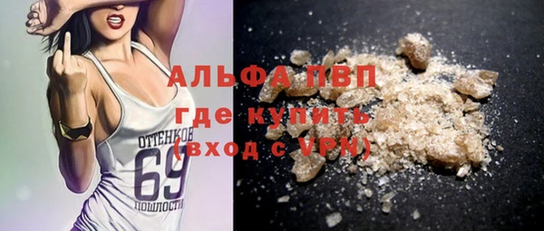 хмурый Алексин