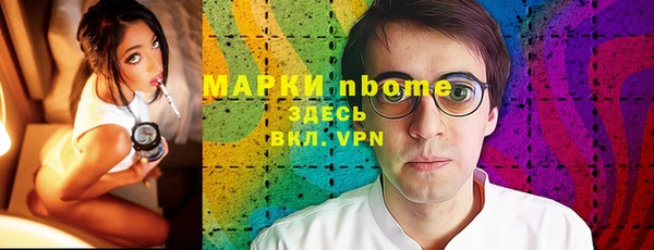 хмурый Алексин
