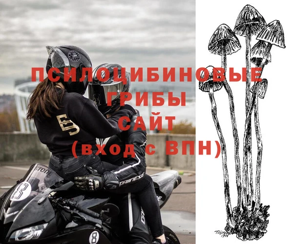 хмурый Алексин